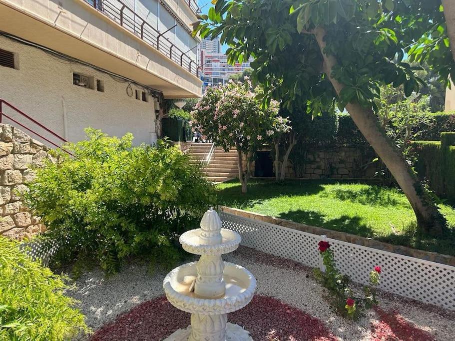 Sea View Apartments, Benidorm Dış mekan fotoğraf